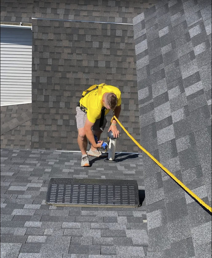 Critter Control Critter Control - Professional Wildlife Removal Services